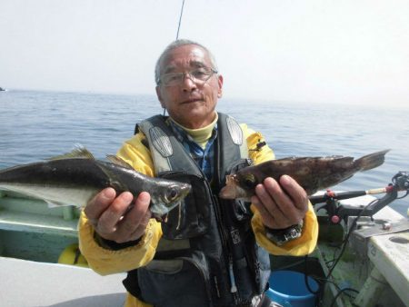 大進丸（愛知） 釣果