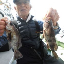 大進丸（愛知） 釣果