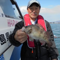 ＨＡＲＵＫＡ丸　はるかまる 釣果