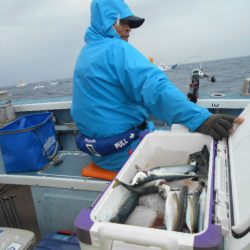 大進丸（愛知） 釣果