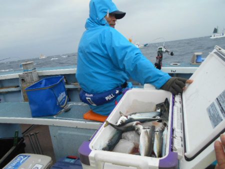 大進丸（愛知） 釣果