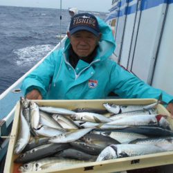 大進丸（愛知） 釣果