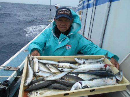 大進丸（愛知） 釣果