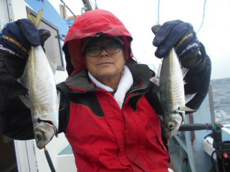 大進丸（愛知） 釣果