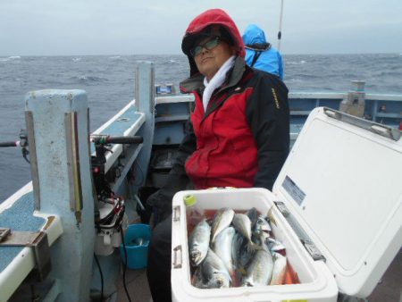 大進丸（愛知） 釣果