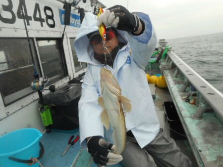 大進丸（愛知） 釣果