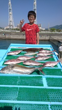 和歌山マリーナシティ釣り堀 釣果