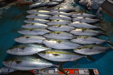 アジアマリンサービス 釣果