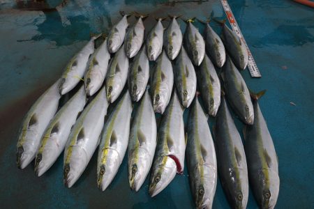 アジアマリンサービス 釣果