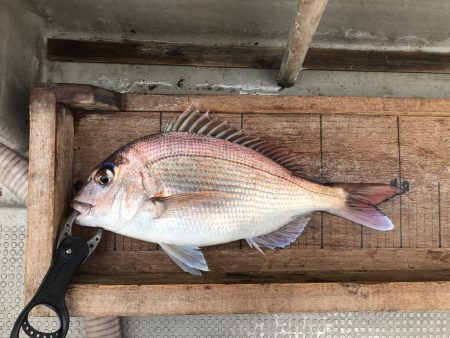 白墨丸 釣果