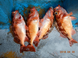 作十丸 釣果