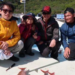 はらまる 釣果