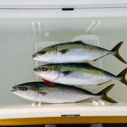 火遠理丸（ほおりまる） 釣果