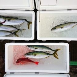 火遠理丸（ほおりまる） 釣果