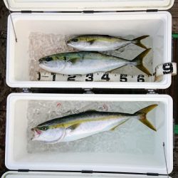 火遠理丸（ほおりまる） 釣果