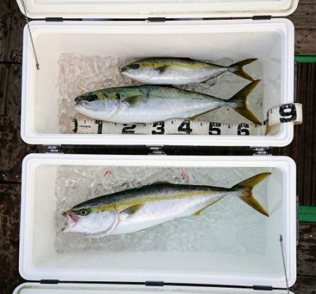 火遠理丸（ほおりまる） 釣果