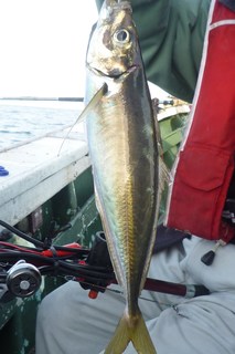 松福丸 釣果