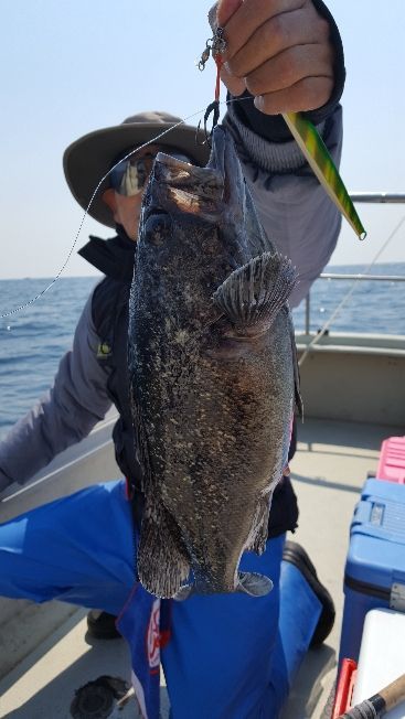 海峰 釣果