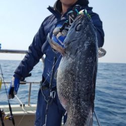 海峰 釣果