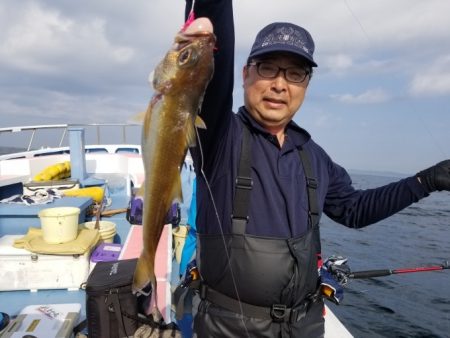 しまや丸 釣果