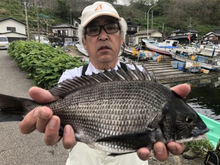 由良渡船 釣果