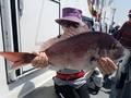 里輝丸 釣果