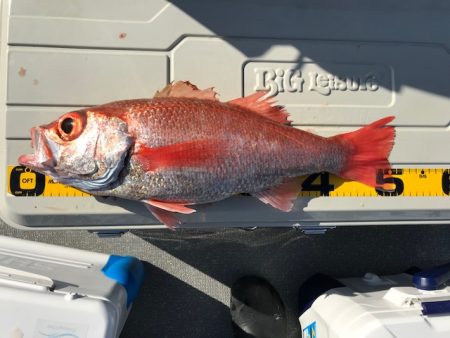 へいみつ丸 釣果