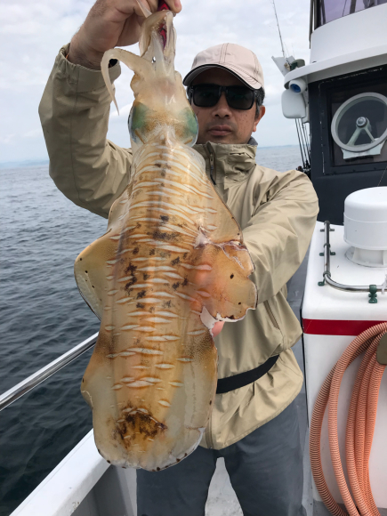 まると屋 釣果