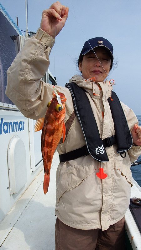 第三むつりょう丸 釣果