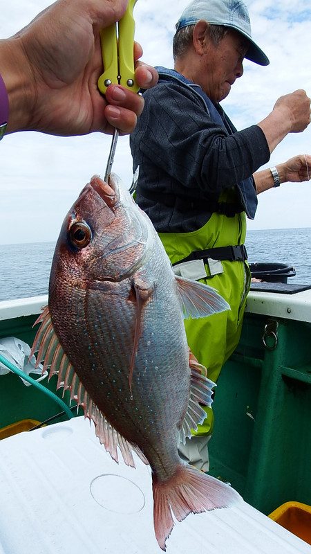 第三むつりょう丸 釣果