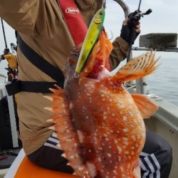 海峰 釣果