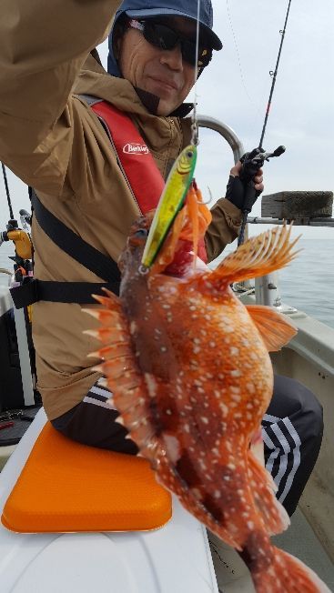 海峰 釣果