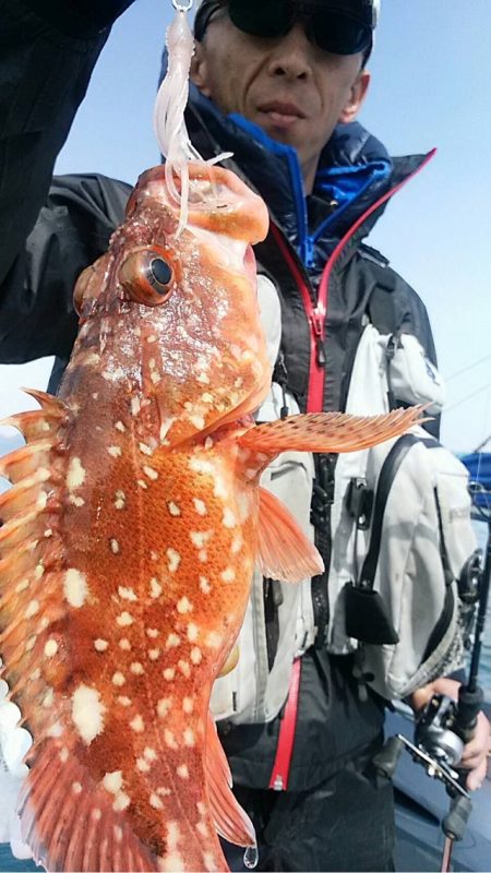 宝昌丸 釣果