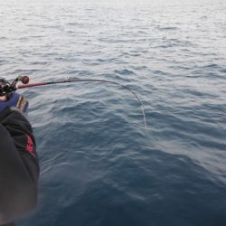 開進丸 釣果