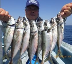 石川丸 釣果