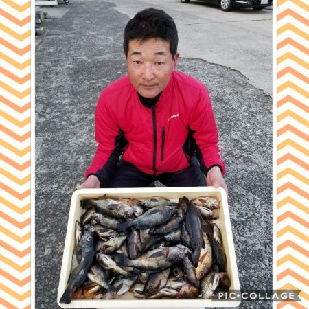 桑田観光 釣果