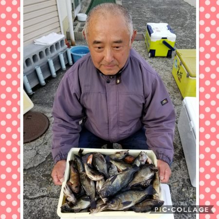 桑田観光 釣果