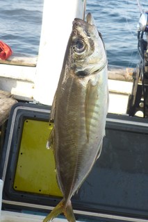 松福丸 釣果