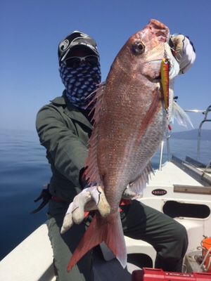 シーモンキー 釣果