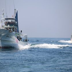 清和丸 釣果