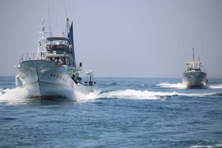 清和丸 釣果