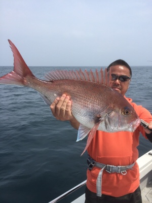 シーモンキー 釣果