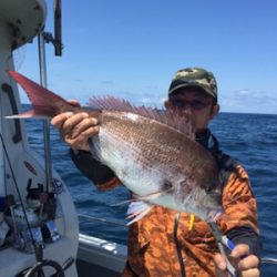 シーモンキー 釣果