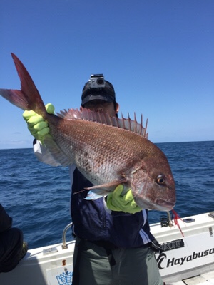 シーモンキー 釣果