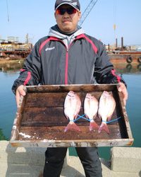 魚英 釣果