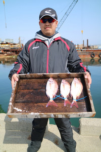 魚英 釣果