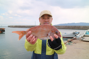 魚英 釣果