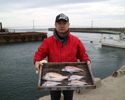 魚英 釣果