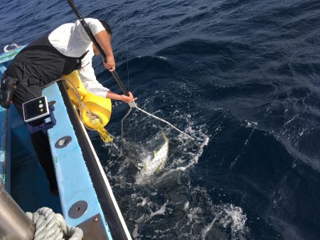 松鶴丸 釣果