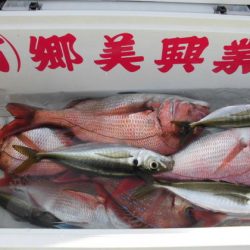 大進丸（新潟） 釣果